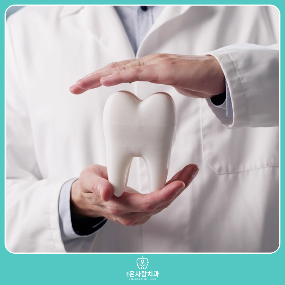 치아 모형을 들고있는 모습